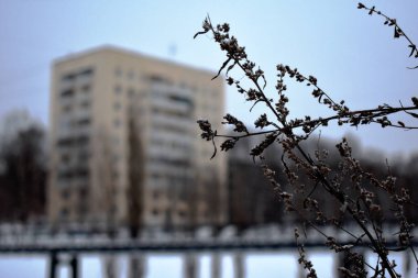 Kışın panelli apartman binası