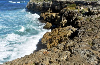Kayalık Atlantik kıyıları. Dominik Cumhuriyeti