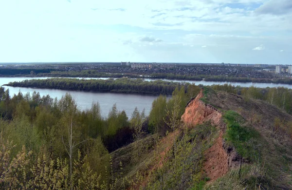Panorama Över Floden Och Skogen Stranden — Stockfoto