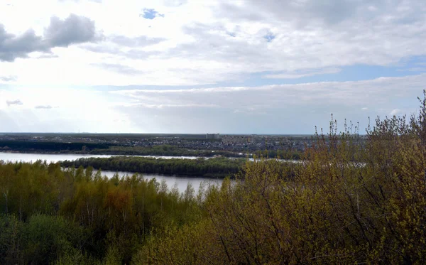 Panorama Sur Rivière Forêt Sur Rivage — Photo