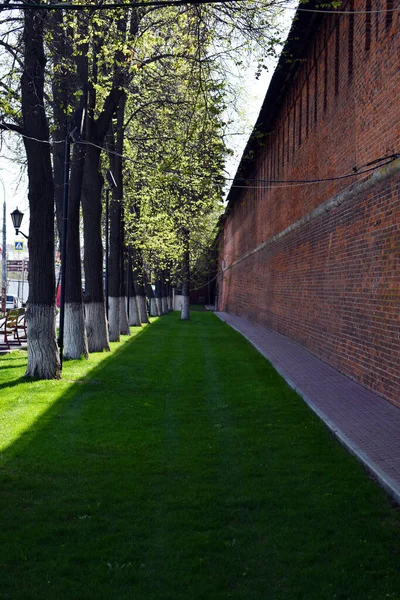 クレムリンの壁に沿って緑の芝生 — ストック写真