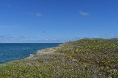 Atlantik kıyısı. Dominik Cumhuriyeti