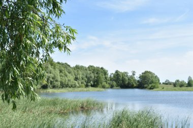 mavi büyük orman gölü ve mavi gökyüzü