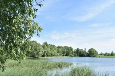 mavi büyük orman gölü ve mavi gökyüzü