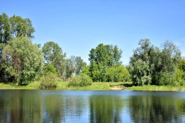 mavi büyük orman gölü ve mavi gökyüzü
