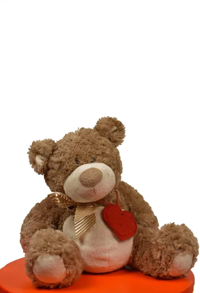 Spielzeug Teddybär Auf Weißem Hintergrund — Stockfoto