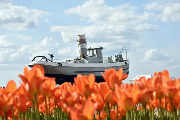 Denkmal Für Das Militärboot Vor Dem Hintergrund Von Tulpen — Stockfoto