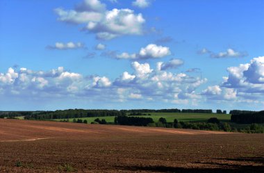Geniş, güzel bir tarlanın ve mavi gökyüzünün manzarası.