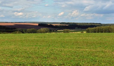 Geniş, güzel bir tarlanın ve mavi gökyüzünün manzarası.