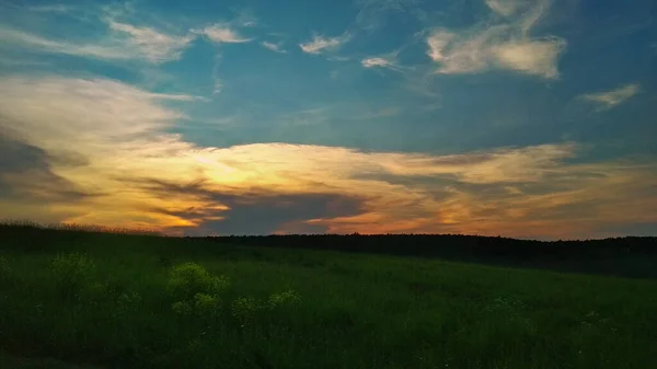 Ніжний Рожевий Захід Сонця Полі — стокове фото