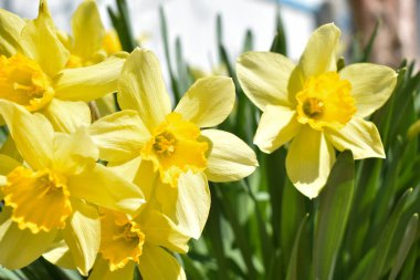 Siyah erkek ayakkabısı ve deri cüzdan.