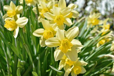 Siyah erkek ayakkabısı ve deri cüzdan.