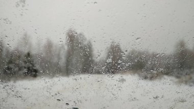 Kış ormanı boyunca karlı yol