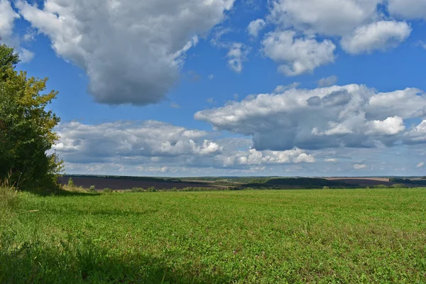 Panorama Wide Field Clouds — Stock Photo, Image