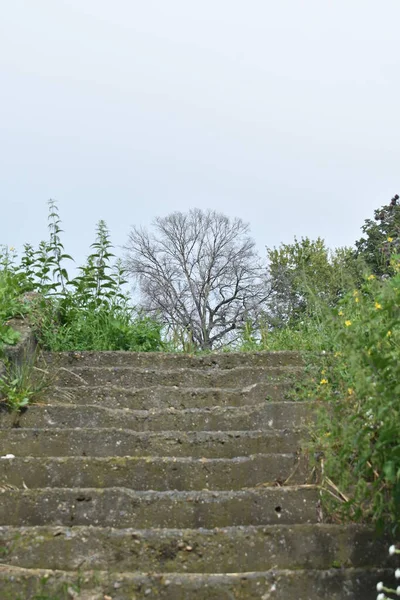 Şehir Parkında Beton Merdiven — Stok fotoğraf