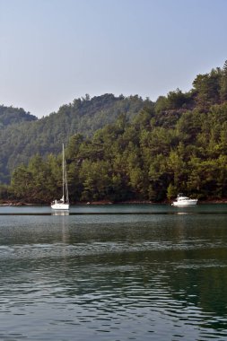 Yat, dağlar boyunca denizde yelken açar.