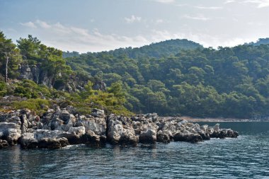 Deniz kıyısındaki kayalıklar ve ağaçlar
