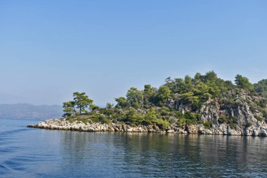 Deniz kıyısındaki kayalıklar ve ağaçlar