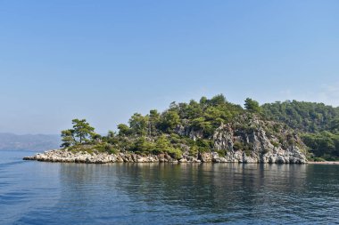 Deniz kıyısındaki kayalıklar ve ağaçlar