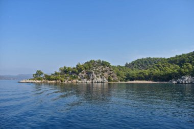 Deniz kıyısındaki kayalıklar ve ağaçlar