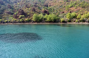 Dağlar, kayalar, deniz kıyısındaki ağaçlar