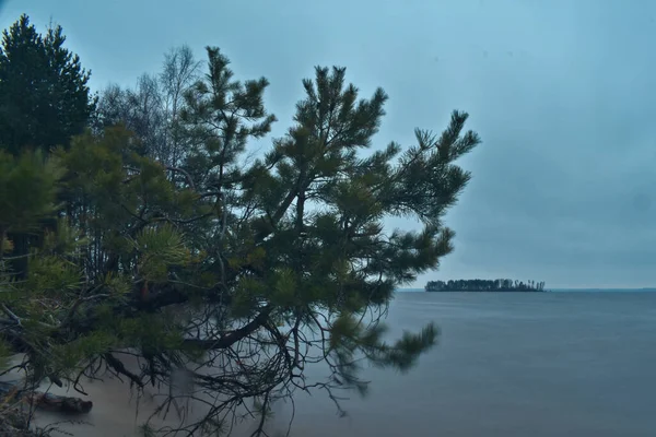 Coast Volga River Dusk — Stock Photo, Image