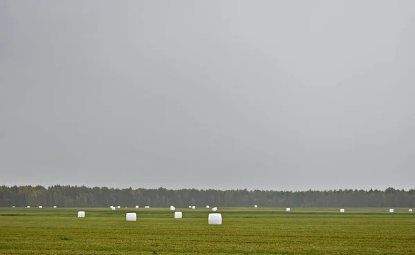 Palheiros Campo Outono — Fotografia de Stock