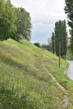 Yazın yeşil şehir sokakları
