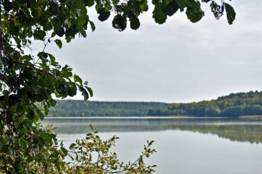 Büyük sonbahar orman gölü manzarası