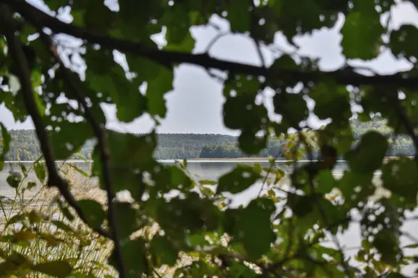 Widok Wielkie Jesienne Jezioro Leśne — Zdjęcie stockowe