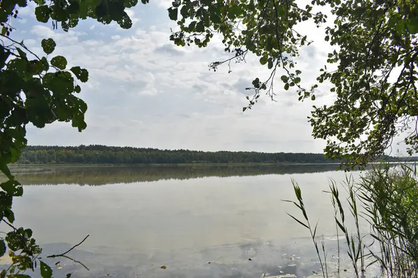 Widok Wielkie Jesienne Jezioro Leśne — Zdjęcie stockowe
