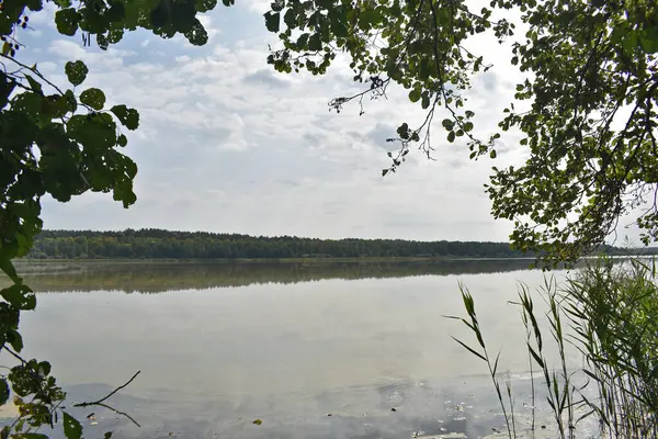 Vista Grande Lago Floresta Outono — Fotografia de Stock