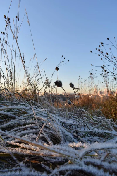 Sonnenaufgang Auf Dem Feld Winter — Stockfoto