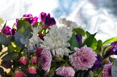 Taze bahar çiçekleri.