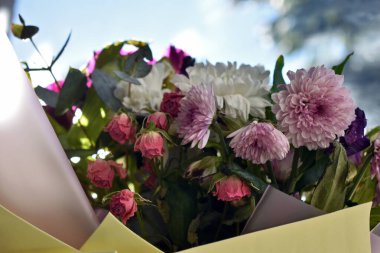 Taze bahar çiçekleri.