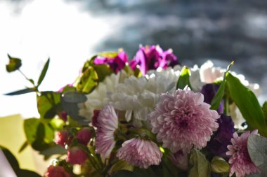 Taze bahar çiçekleri.