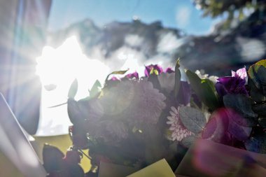 Taze bahar çiçekleri.