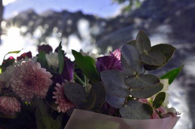 Taze bahar çiçekleri.