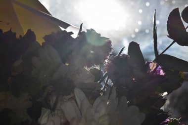 Taze bahar çiçekleri.