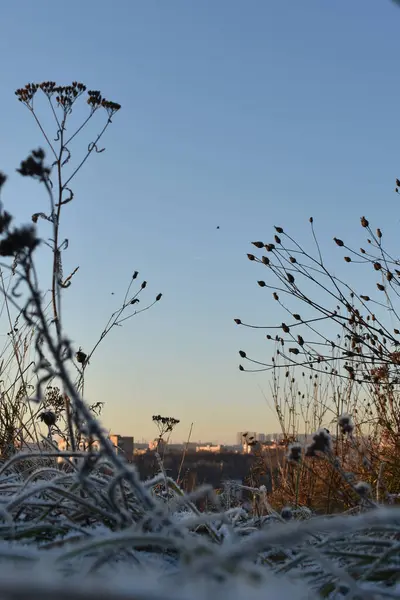 Svítání Slunce Poli Zimě — Stock fotografie