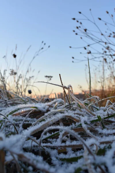 Sonnenaufgang Auf Dem Feld Winter — Stockfoto