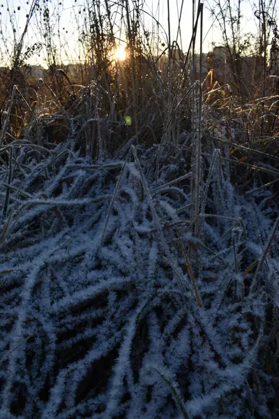 Amanecer Del Sol Campo Invierno — Foto de Stock