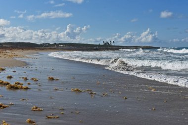 Issız bir kumsal. Dominik Cumhuriyeti