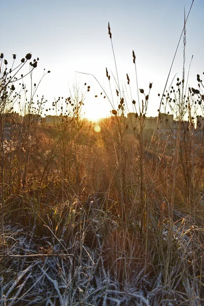 Amanecer Brillante Del Sol Campo — Foto de Stock