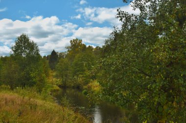 Sonbahar ormanında küçük bir nehir.
