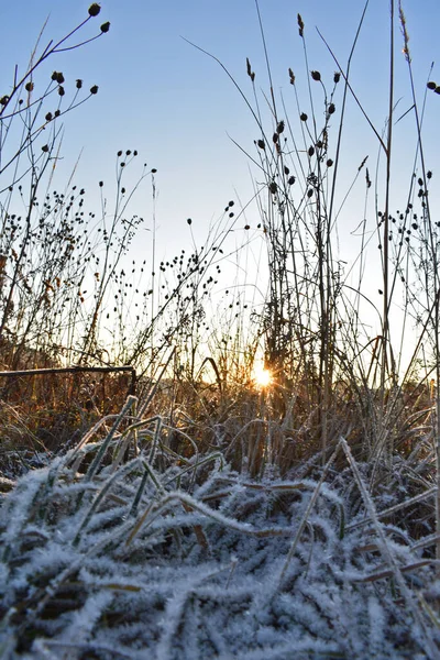 Karlı bir tarlada güneşin doğuşu