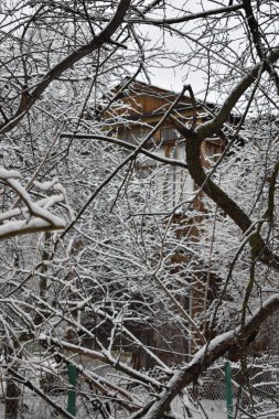 Kışın parkta dallar üzerinde kar yağar