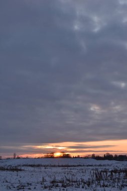 Kış tarlasında renkli günbatımı