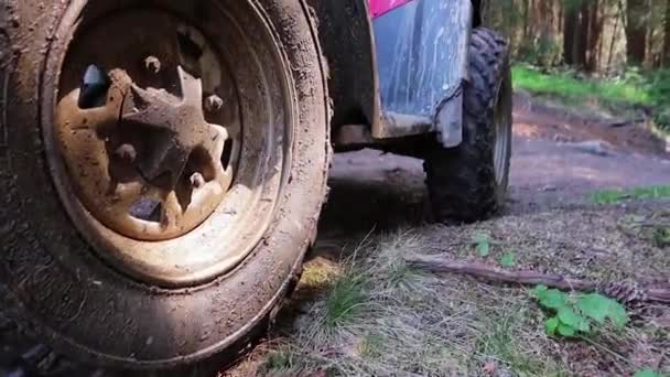 Atv Steht Mitten Wald — Stockvideo