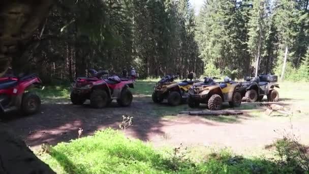 Atv Trova Nel Mezzo Una Foresta — Video Stock